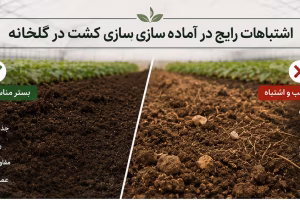 greenhouse-planting-mistakes